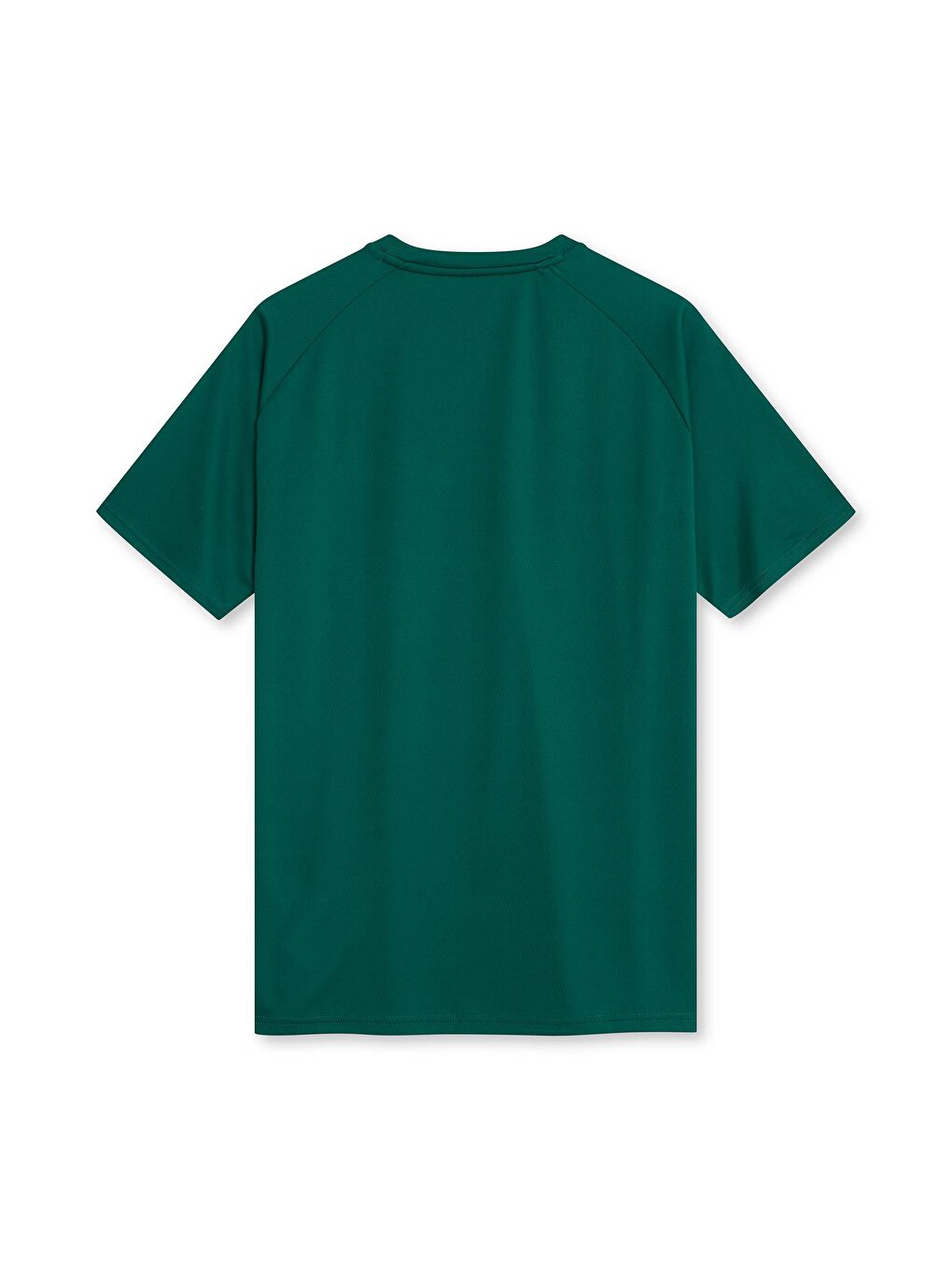 Yeşil Erkek Anrenman Tişörtü-1