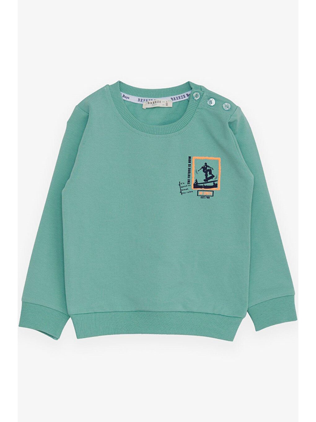 Breeze Açık Su Yeşili Erkek Bebek Sweatshirt Kaykaycı Baskılı Mint Yeşili (9 Ay-1.5 Yaş)