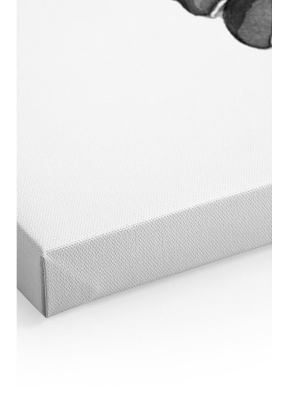 Beyaz Dekoratif Kanvas Duvar Tablo - ARTCANVAS29-70100-1