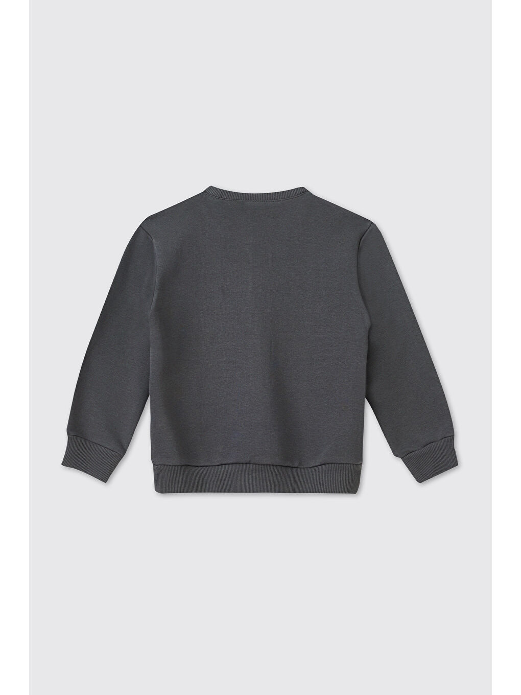 Erkek Bebek Antrasit Sweatshirt-1