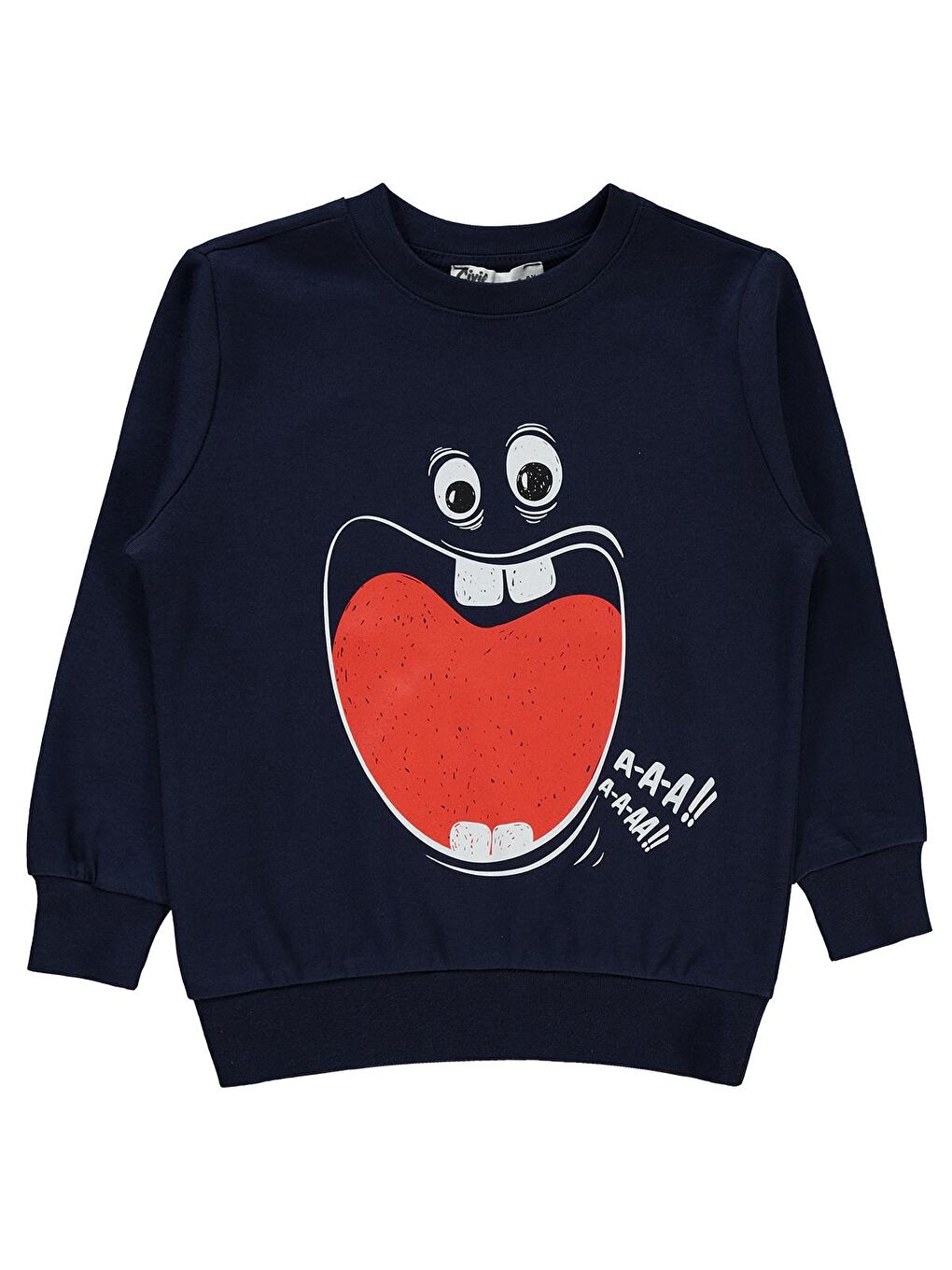 Boys Erkek Çocuk Sweatshirt 2-5 Yaş Lacivert