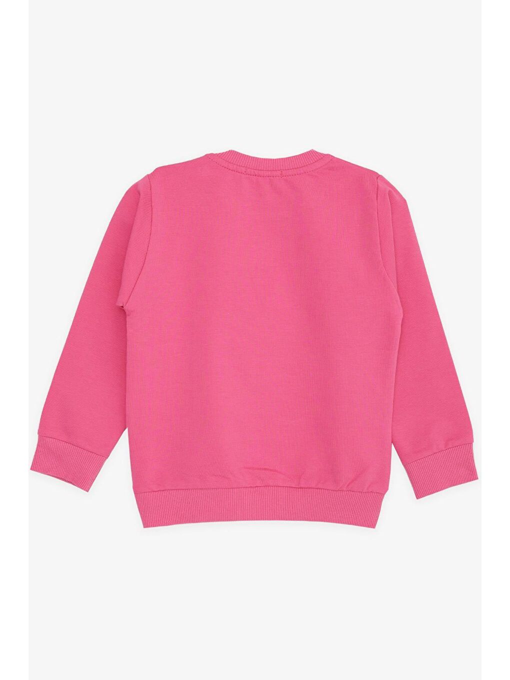 Breeze Pembe Kız Bebek Sweatshirt Simli Çiçek Baskılı Pembe (9 Ay-2 Yaş) - 1