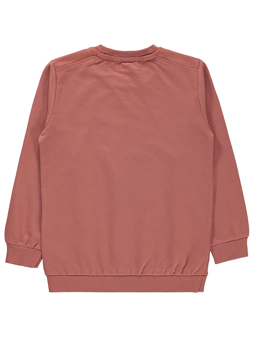 Kahverengi Boys Erkek Çocuk Sweatshirt 2-5 Yaş Kiremit-1