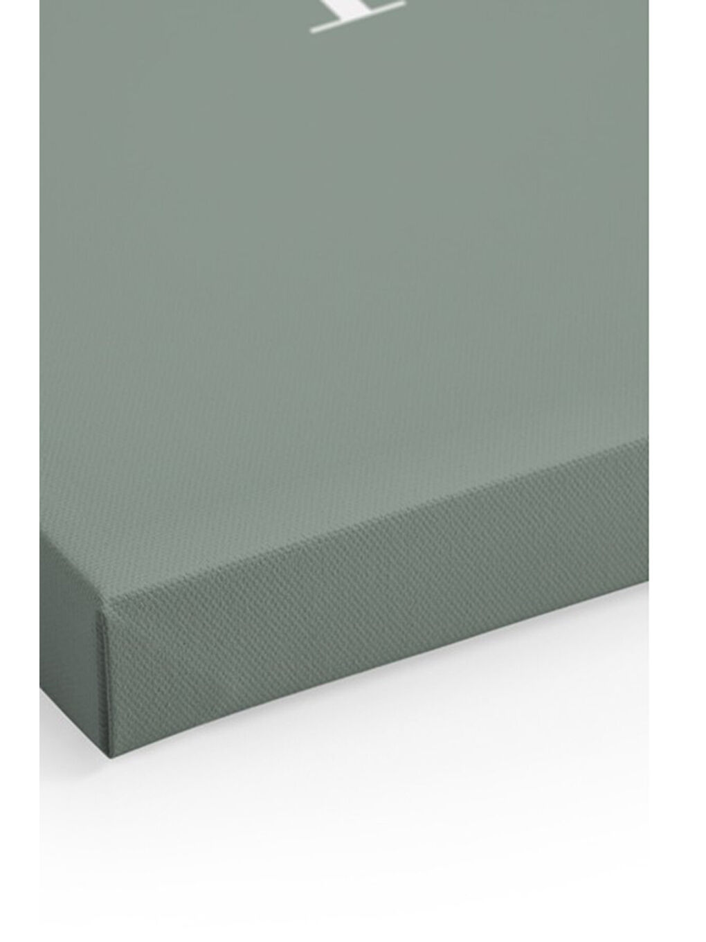 Beyaz Dekoratif Kanvas Duvar Tablo - ARTCANVAS119-4060-1