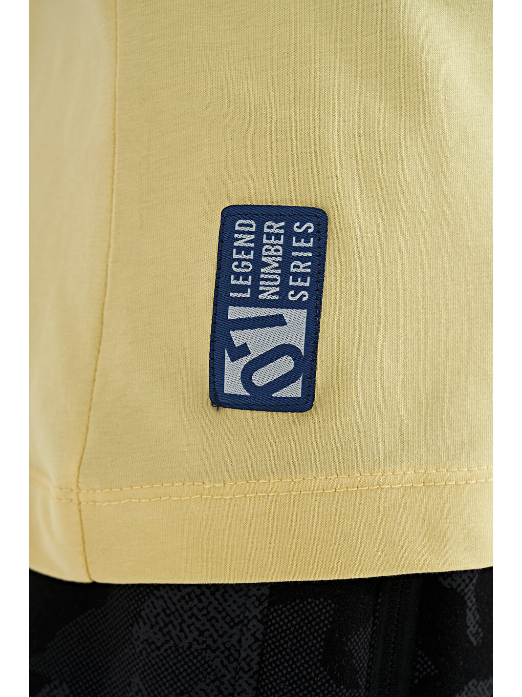 Sarı Baskı Detaylı Standart Kalıp O Yaka Erkek Çocuk Tişört - 11133-4