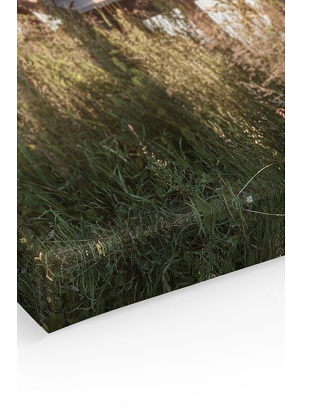 Beyaz Dekoratif Kanvas Duvar Tablo - ARTCANVAS100-4060-1