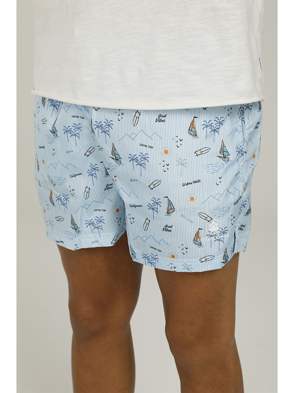 CT1247 EARL AOP SHORT 2FX Mavi Erkek Deniz Şortu