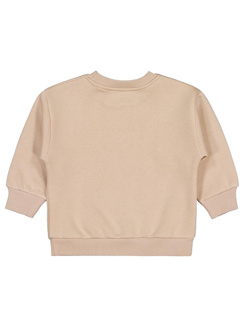 Boys Bear Baskı-Nakışlı 2-5 Yaş Sweatshirt - Bej 5-6 Yaş-1