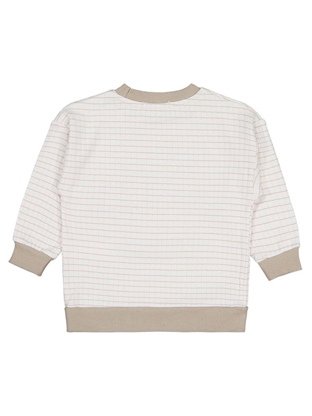 Boys Aslan Nakışlı 2-5 Yaş Sweatshirt - Bej 2-3 Yaş-1