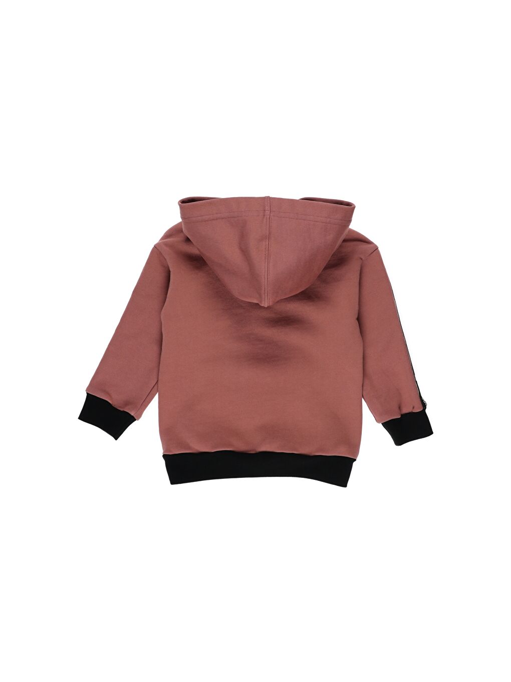 Panço Pembe Erkek Çocuk  Kapüşonlu Kolları Şerit Detaylı Sweatshirt - 1