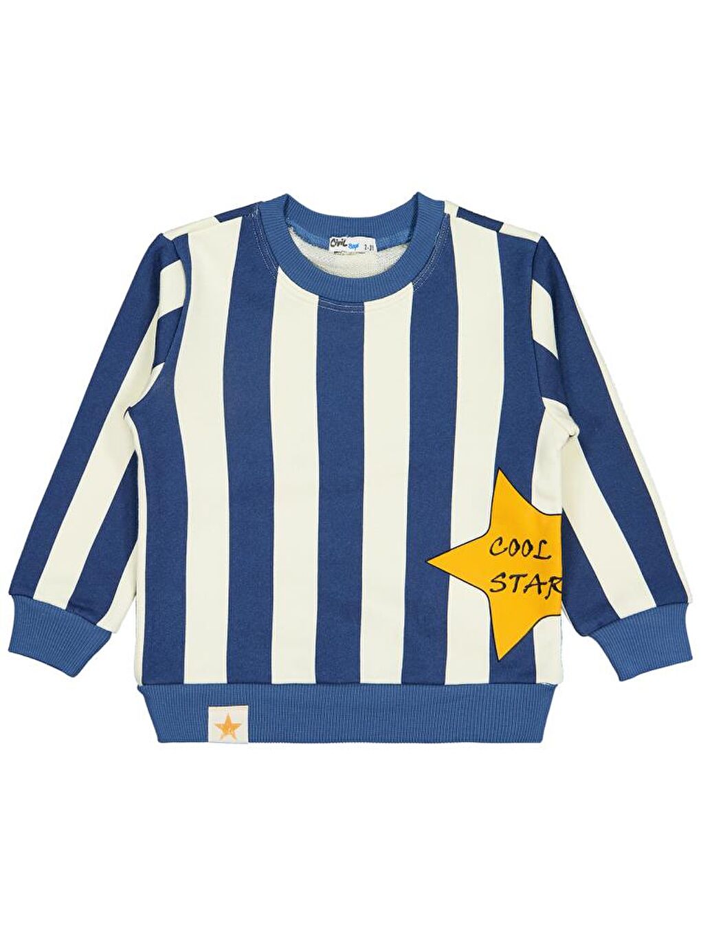 İndigo Boys Çizgili Yıldız Baskılı 2-5 Yaş Sweatshirt - Mavi4-5 Yaş