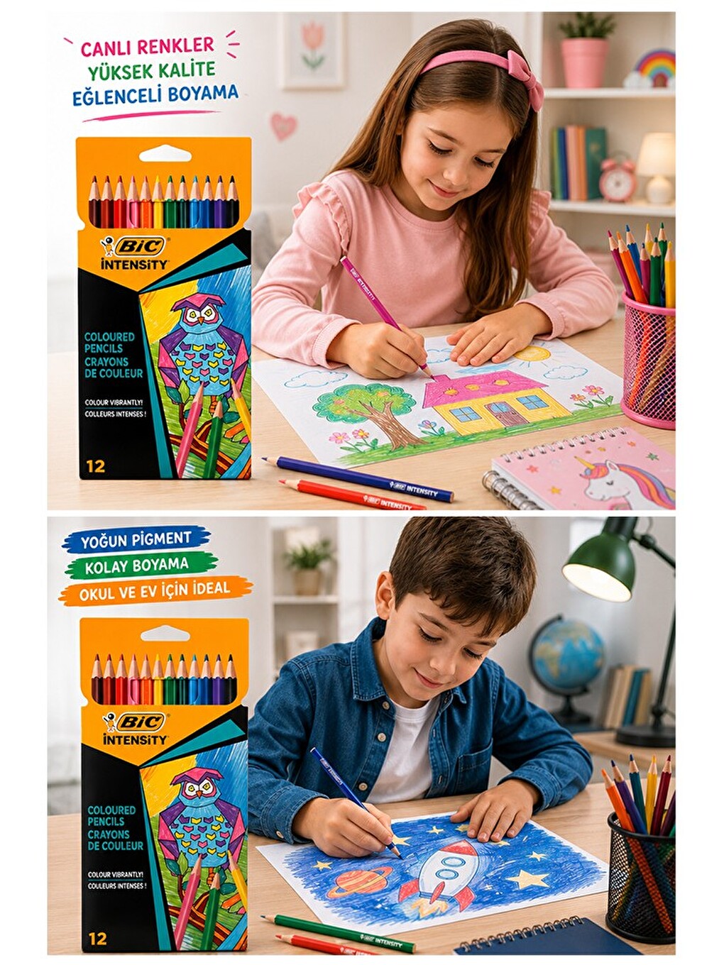12 Li Kuru Boya Kalemi Karton Kutu 1 Paket Bic İntensity 12 Renk Kuruboya Tam Boy-2