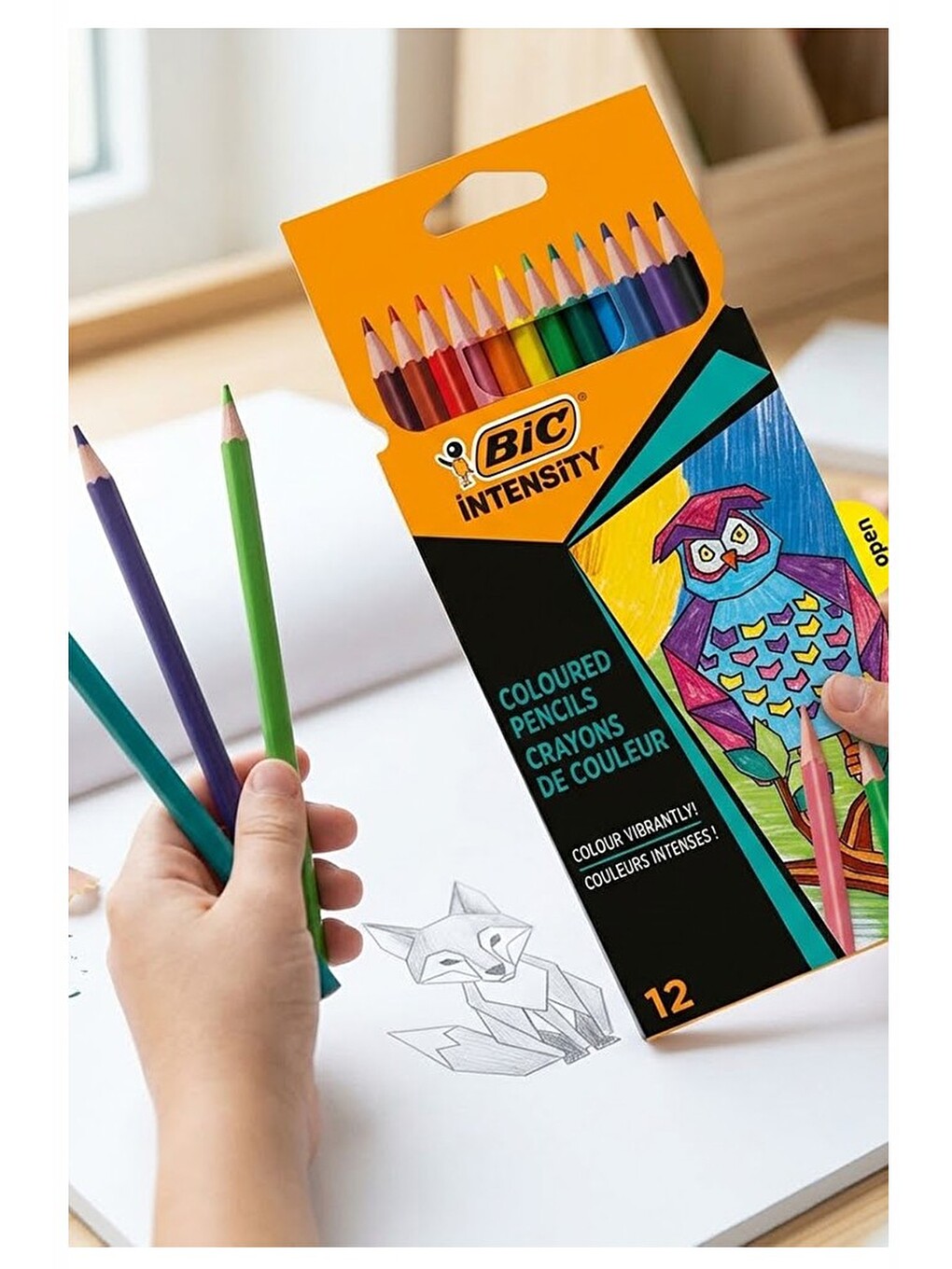 12 Li Kuru Boya Kalemi Karton Kutu 1 Paket Bic İntensity 12 Renk Kuruboya Tam Boy-3