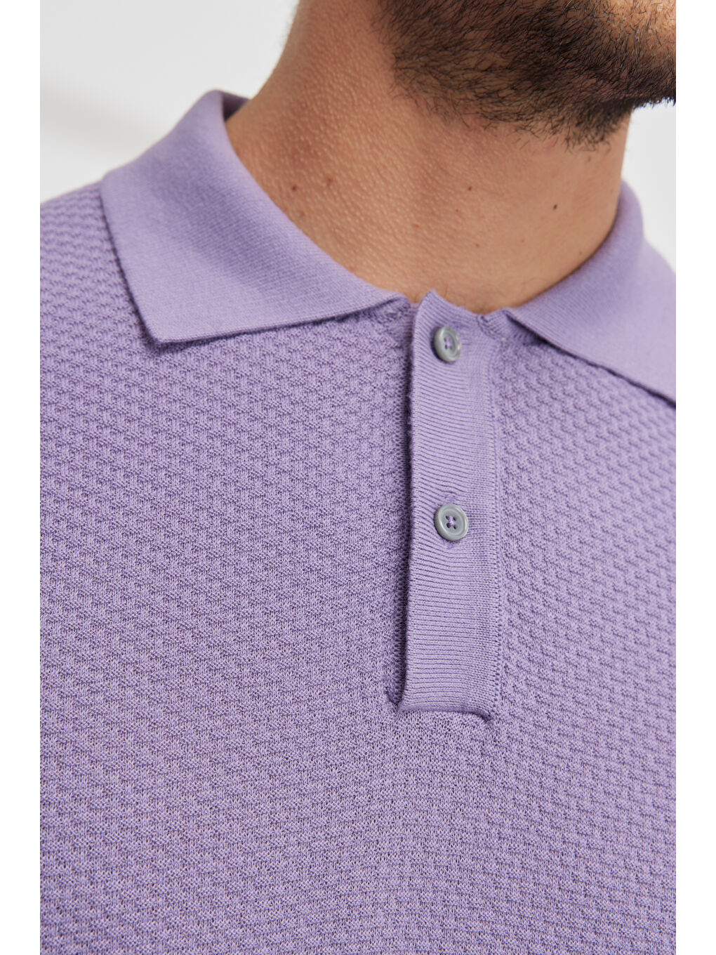 Erkek Lila Standart Fit Normal Kesim Polo Yaka %100 Pamuk Kısa Kollu Triko-4