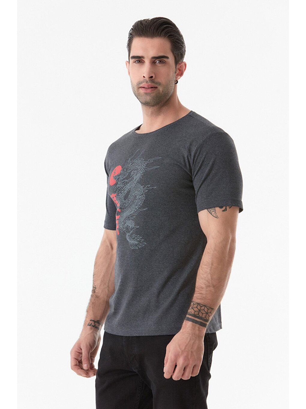 Antrasit Baskılı Bisiklet Yaka Tişört-4