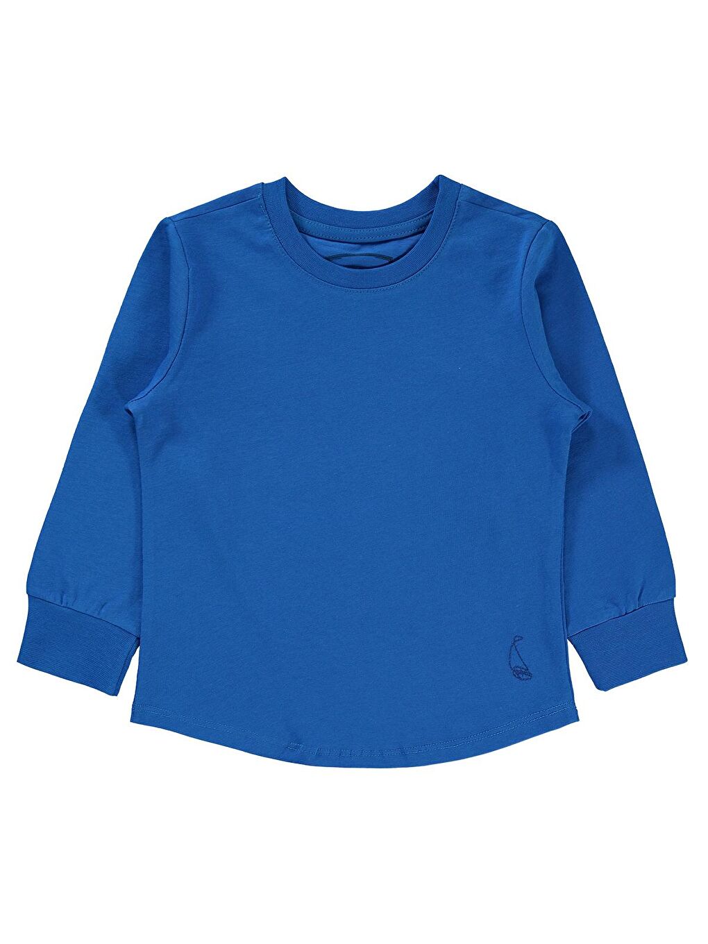 Boys Erkek Çocuk Sweatshirt 2-5 Yaş Saks Mavisi