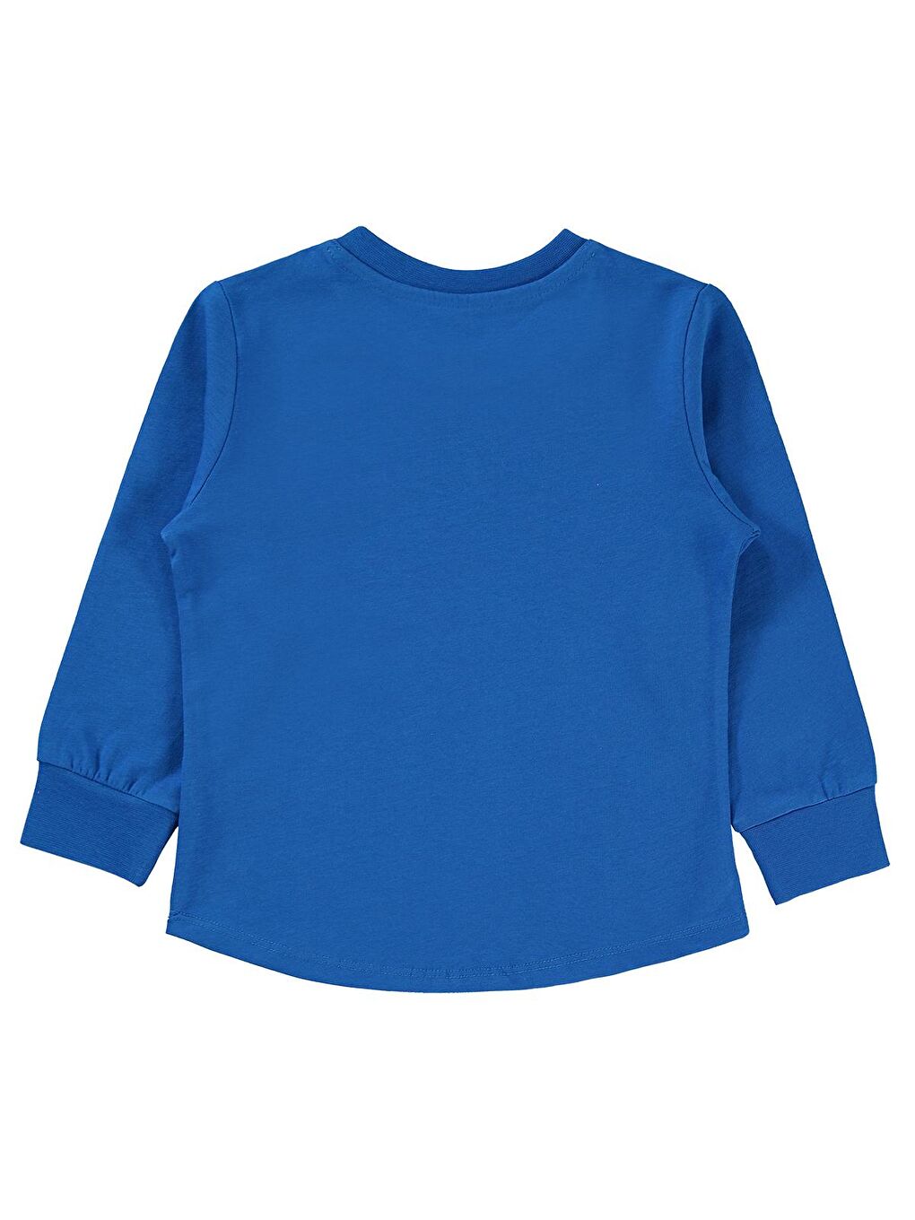 Boys Erkek Çocuk Sweatshirt 2-5 Yaş Saks Mavisi-1