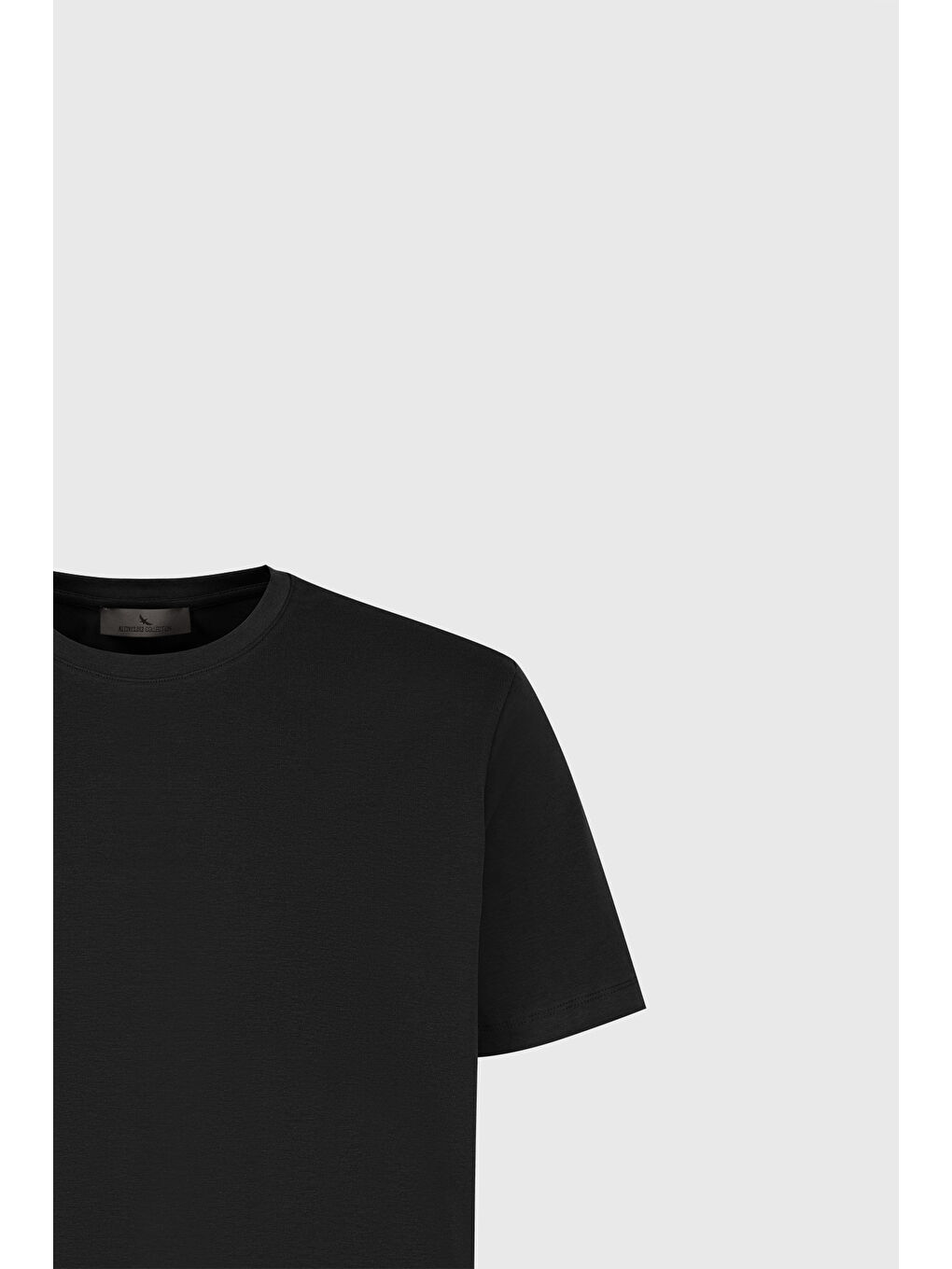 Erkek Siyah Standart Fit Normal Kesim Bisiklet Yaka Pamuklu Tişört-6