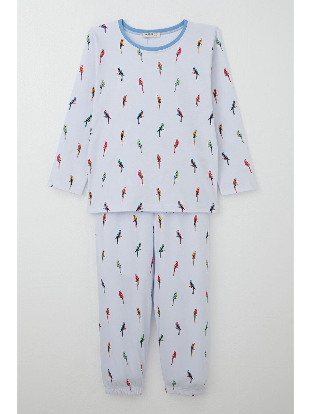 Erkek Çocuk Pijama Takımı Renkli Papağan Desenli Buz Mavisi (4-5 Yaş)