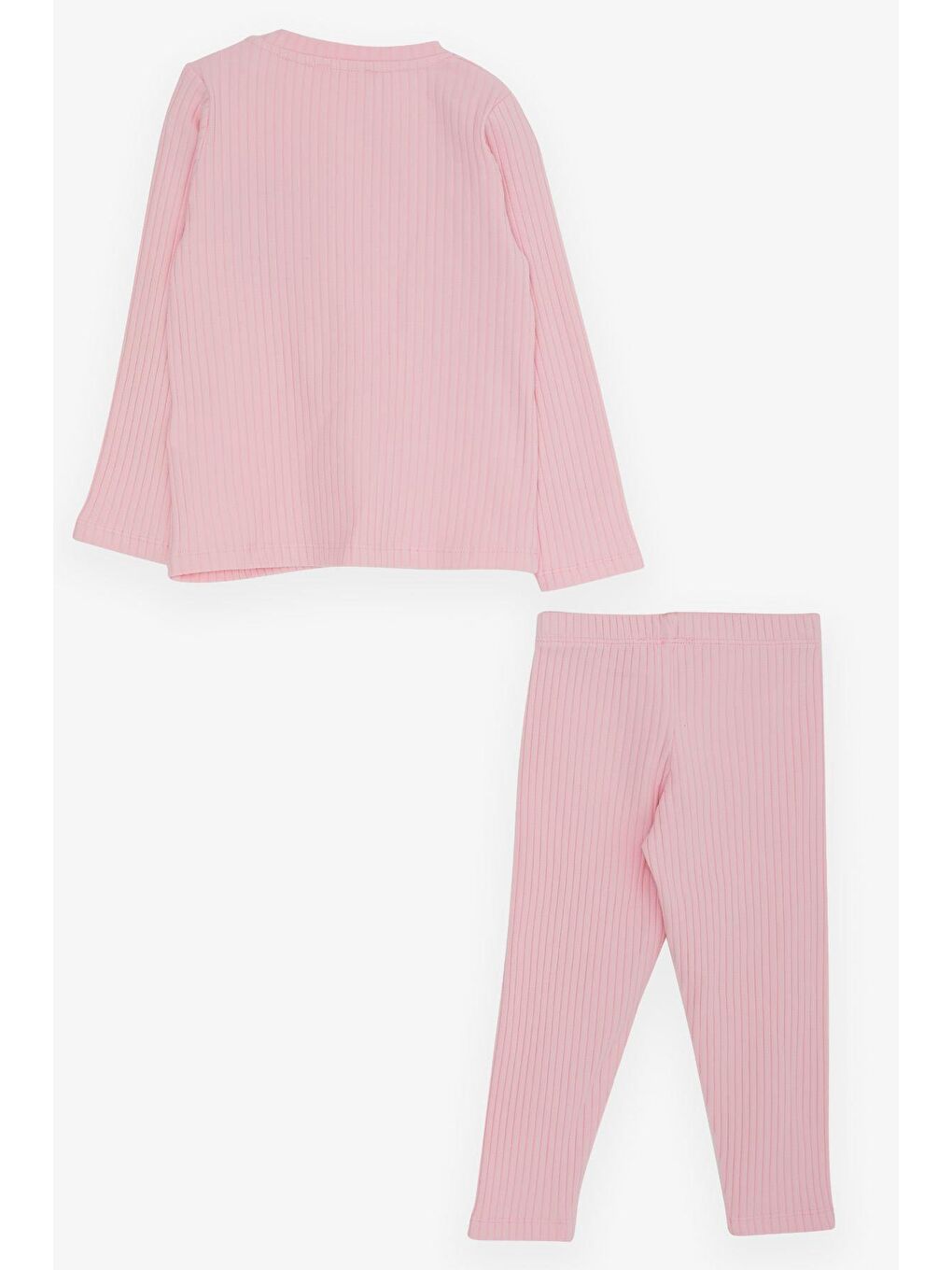 Kız Bebek Taytlı Takım Bebek Ayıcık Nakışlı Pembe (9 Ay)-1