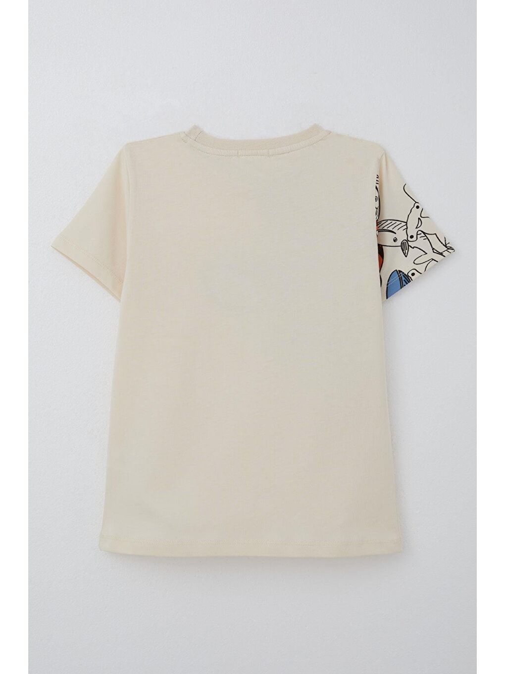 Ekru Erkek Çocuk Tişört Mavi Dünyanın Kahramanları Balinalar Krem (5-9 Yaş)-5