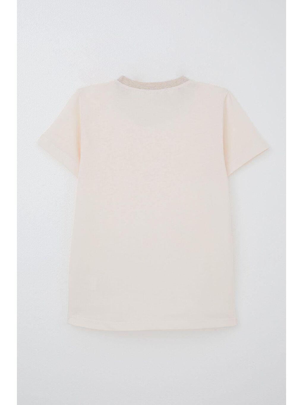 Pembe Erkek Çocuk Tişört Basic Pudra (4-14 Yaş)-3