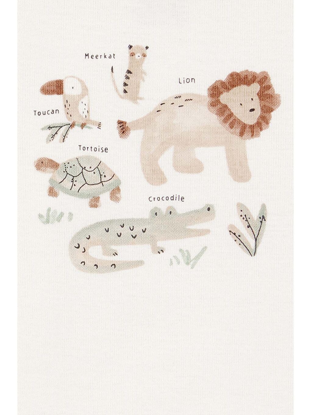 Erkek Bebek Yeşil 3Lü Hırkalı-2