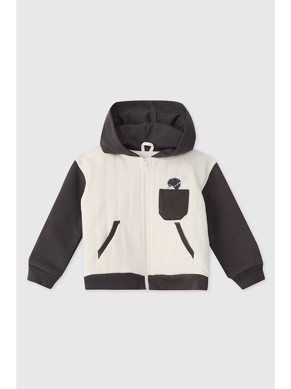 Erkek Bebek Dinozor Baskılı Antrasit Sweatshirt