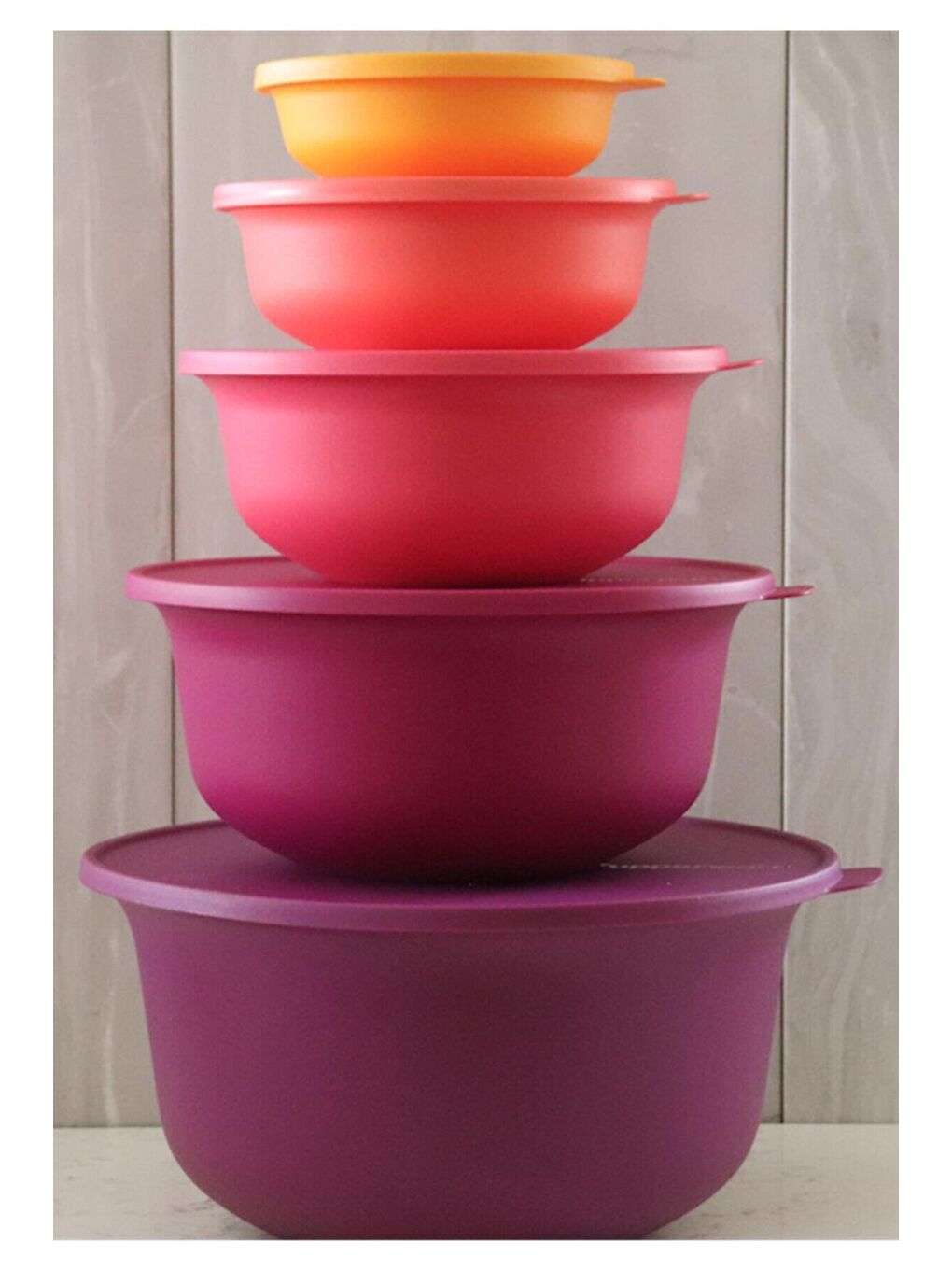 Tupperware Karışık Aloha 5 Li Saklama Kabı Seti