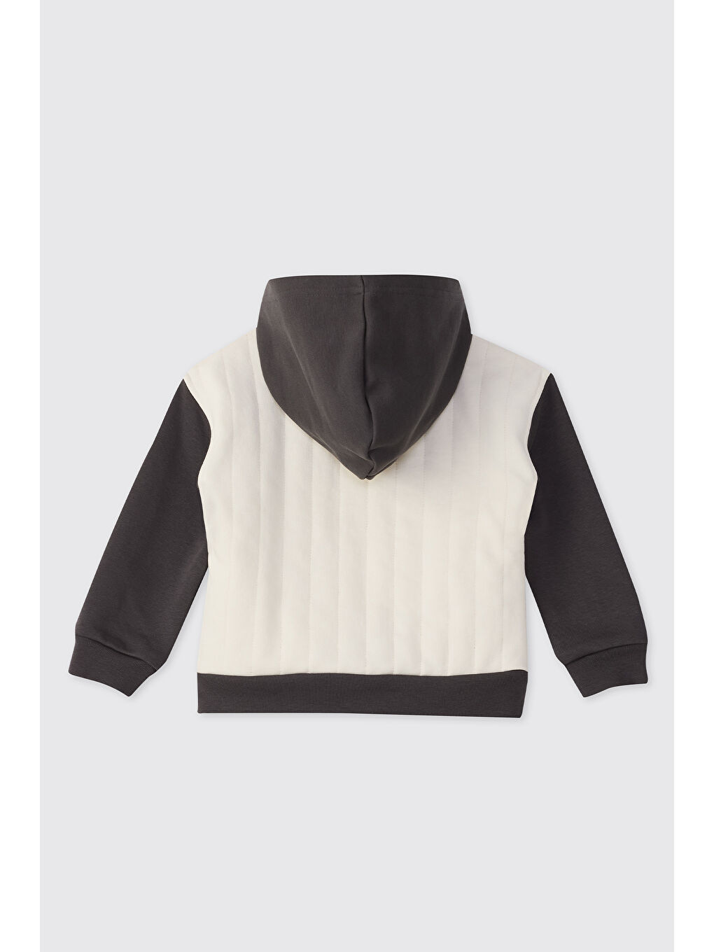 Erkek Bebek Dinozor Baskılı Antrasit Sweatshirt-1