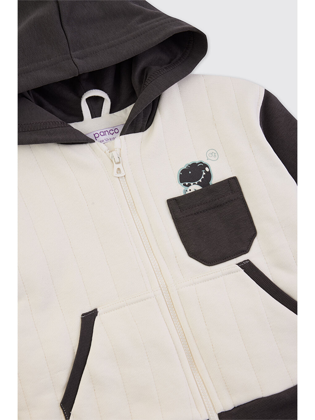 Erkek Bebek Dinozor Baskılı Antrasit Sweatshirt-2