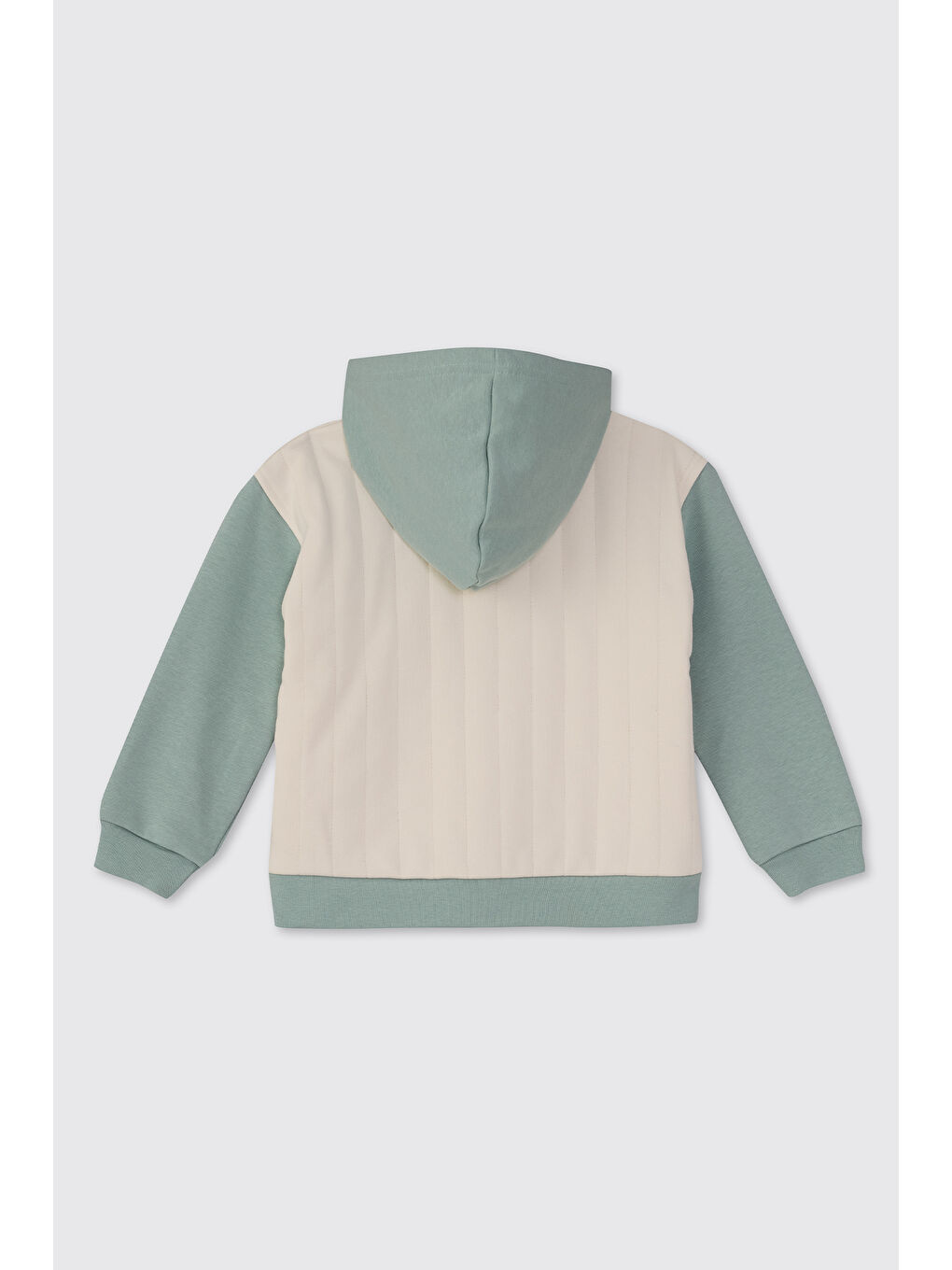 Erkek Bebek Dinozor Baskılı Yeşil Sweatshirt-1