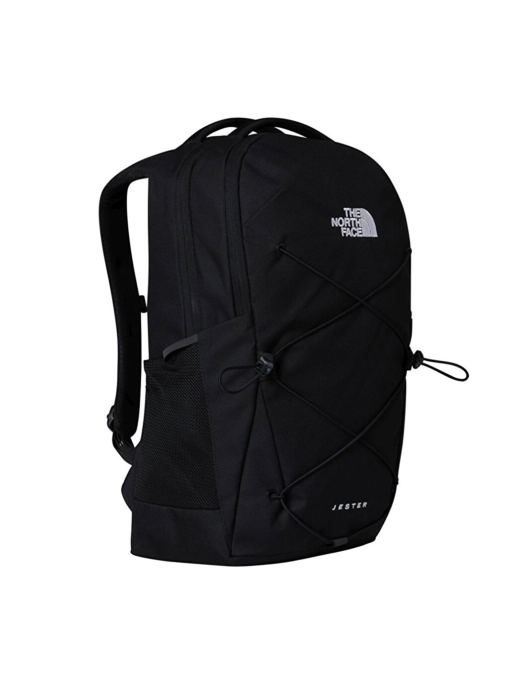 Renksiz Jester Sırt Çantası NF0A3VXF4H01