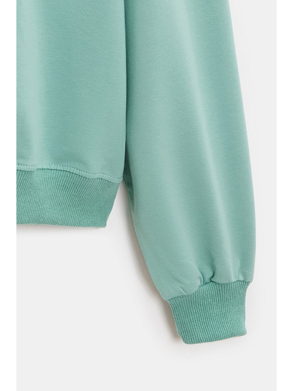 Yeşil Mint Kadın Oversize Bisiklet Yaka Basic Casual Sweatshirt-2