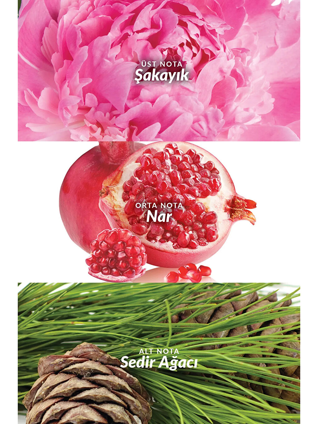 Eve Truth Kadın Vücut Losyonu 125 Ml. İkili Paket-3