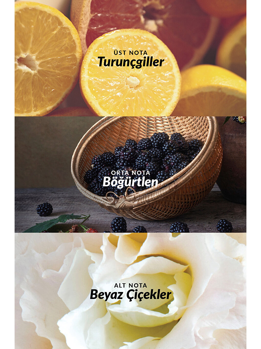 Luck Kadın Vücut Losyonu 125 Ml. Üçlü Paket-1