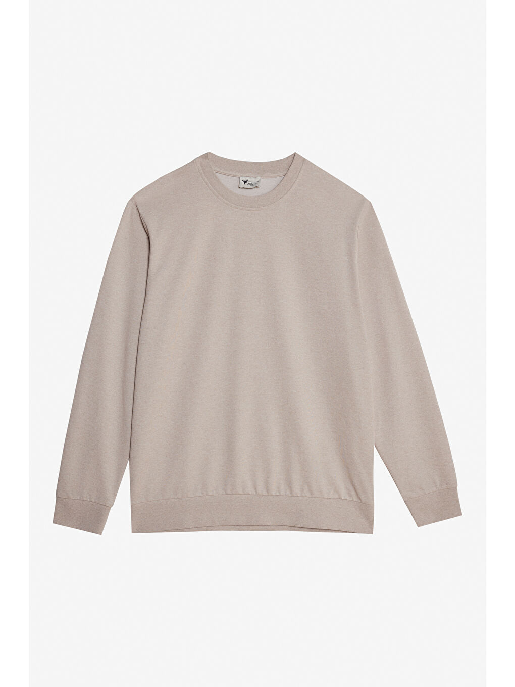 Erkek Bej Standart Fit Normal Kesim 2 İplik Recycle Pamuklu Bisiklet Yaka Sweatshirt-2