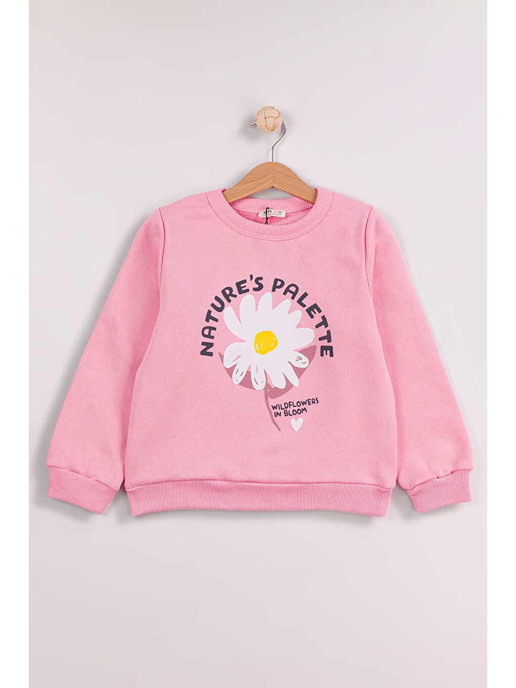 Pembe Kız Çocuk 2'li Paket Basic Sweatshirt-2