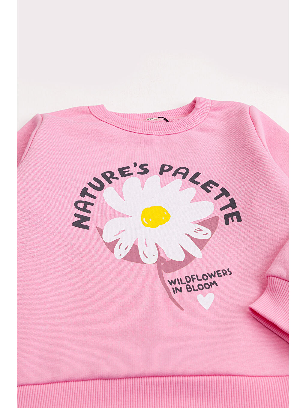 Pembe Kız Çocuk 2'li Paket Basic Sweatshirt-3
