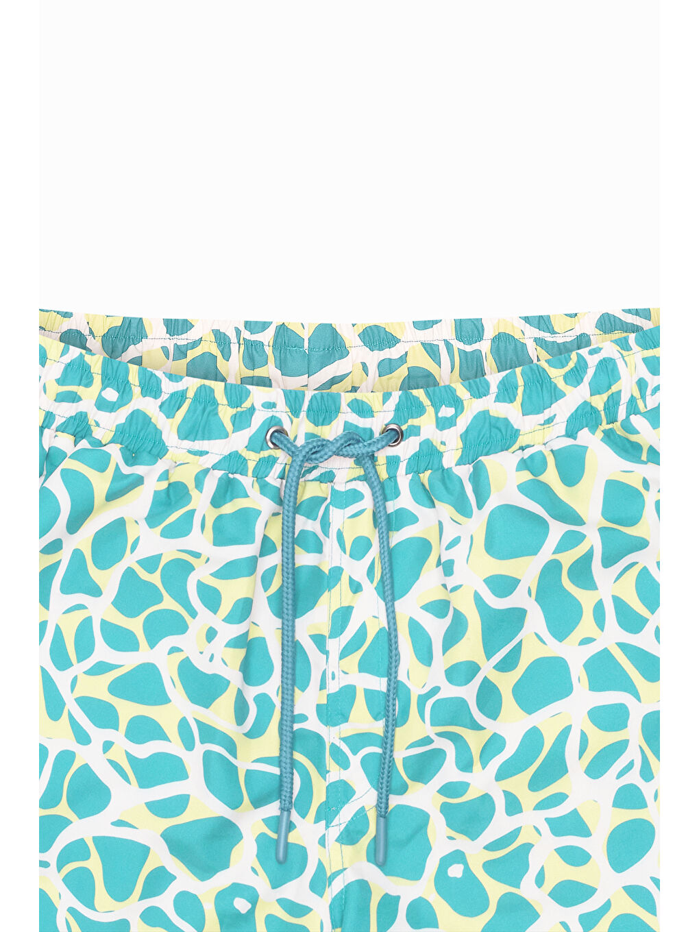 Yeşil Erkek MINT YESIL Standart Fit Normal Kesim Cepli Hızlı Kuruyan Desenli Mayo Deniz Şortu-10