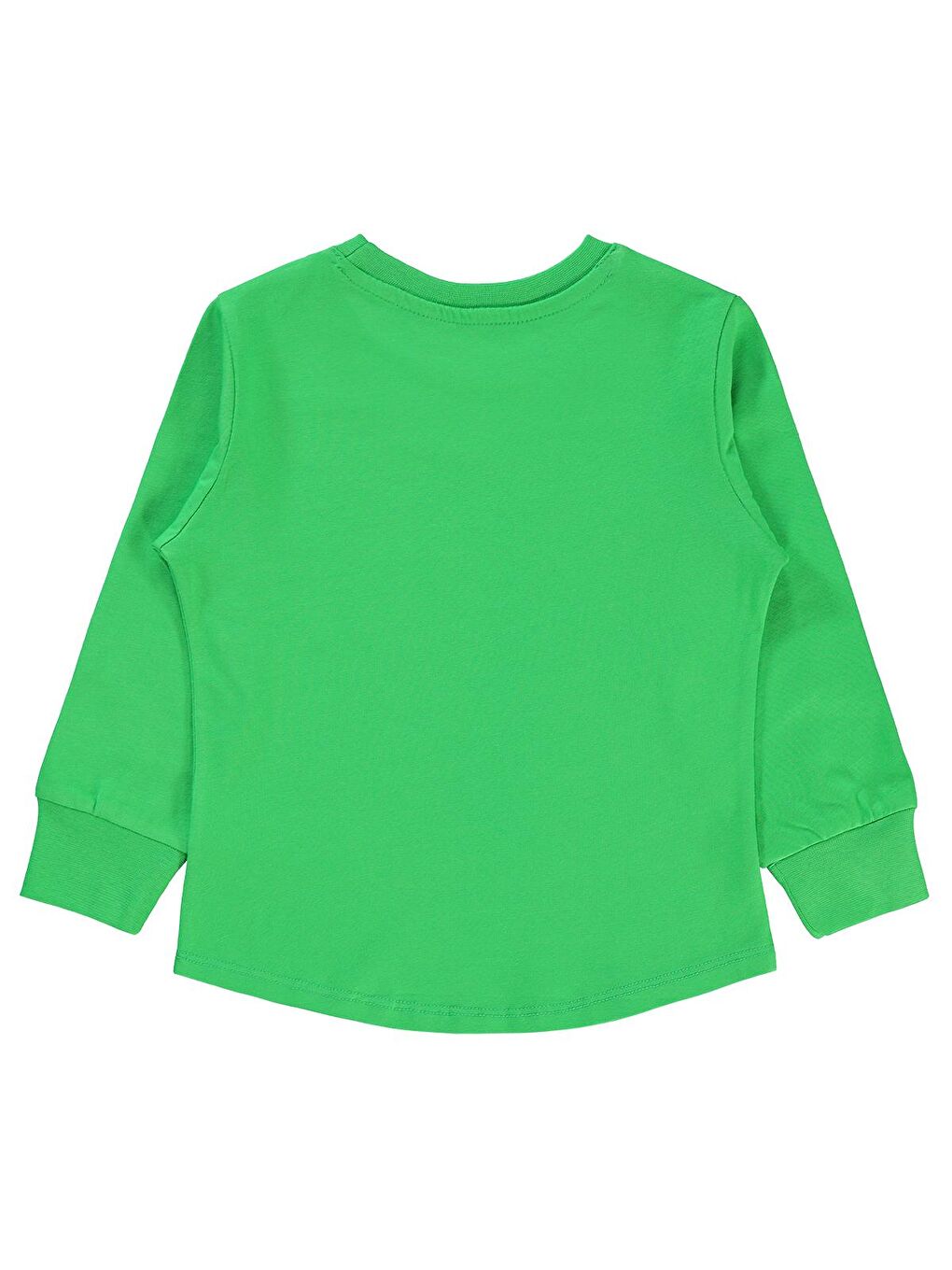 Civil Koyu Yeşil Boys Erkek Çocuk Sweatshirt 2-5 Yaş Koyu Yeşil - 1