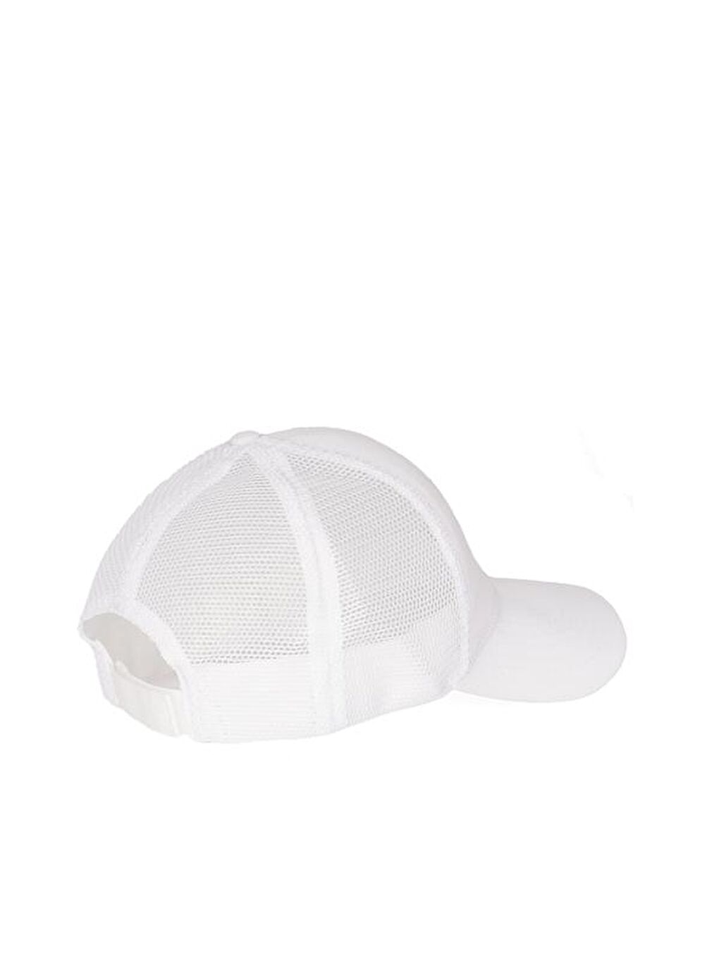 Beyaz Şapka Alberge-1