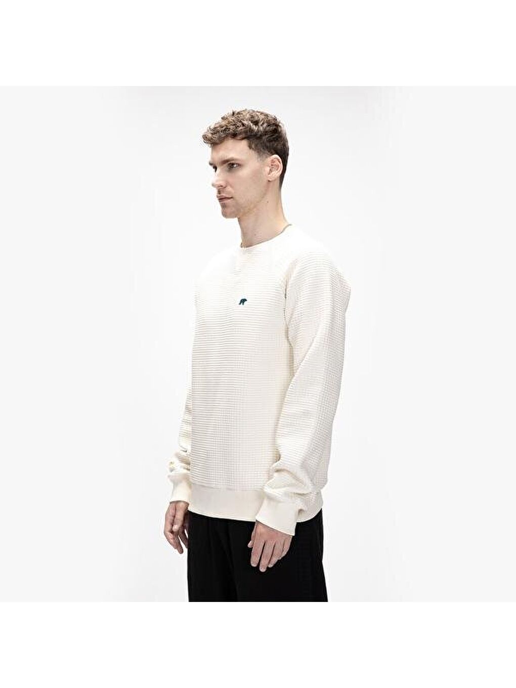 Diez Erkek Bej Sweatshirt-2