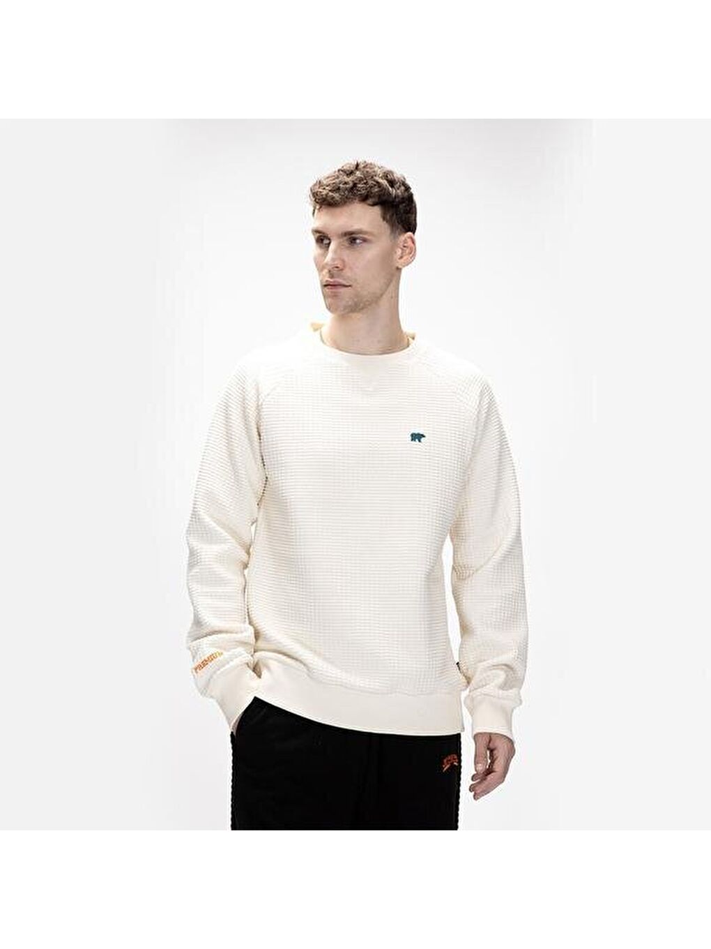Diez Erkek Bej Sweatshirt-3