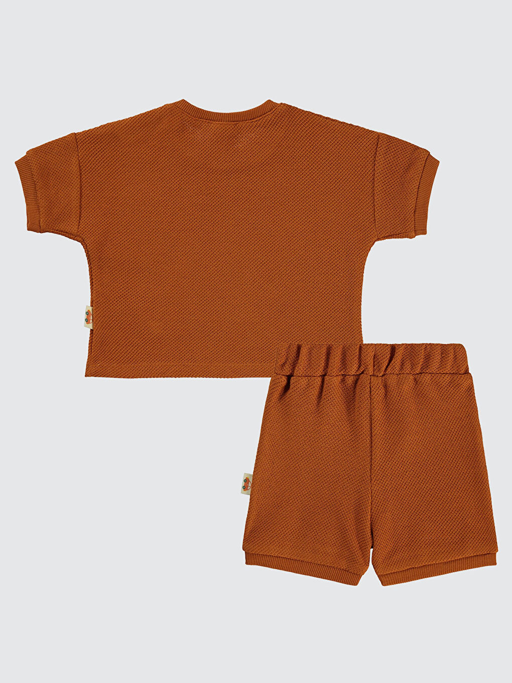 Kahverengi Baby Erkek Bebek Şortlu Takım 6-18 Ay Tarçın-2