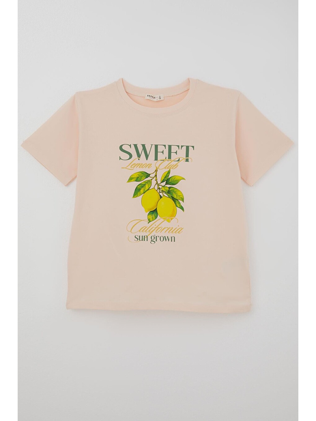Pembe Kız Çocuk Kısa Kollu Tişört Limon Baskılı Pudra (9-14 Yaş)