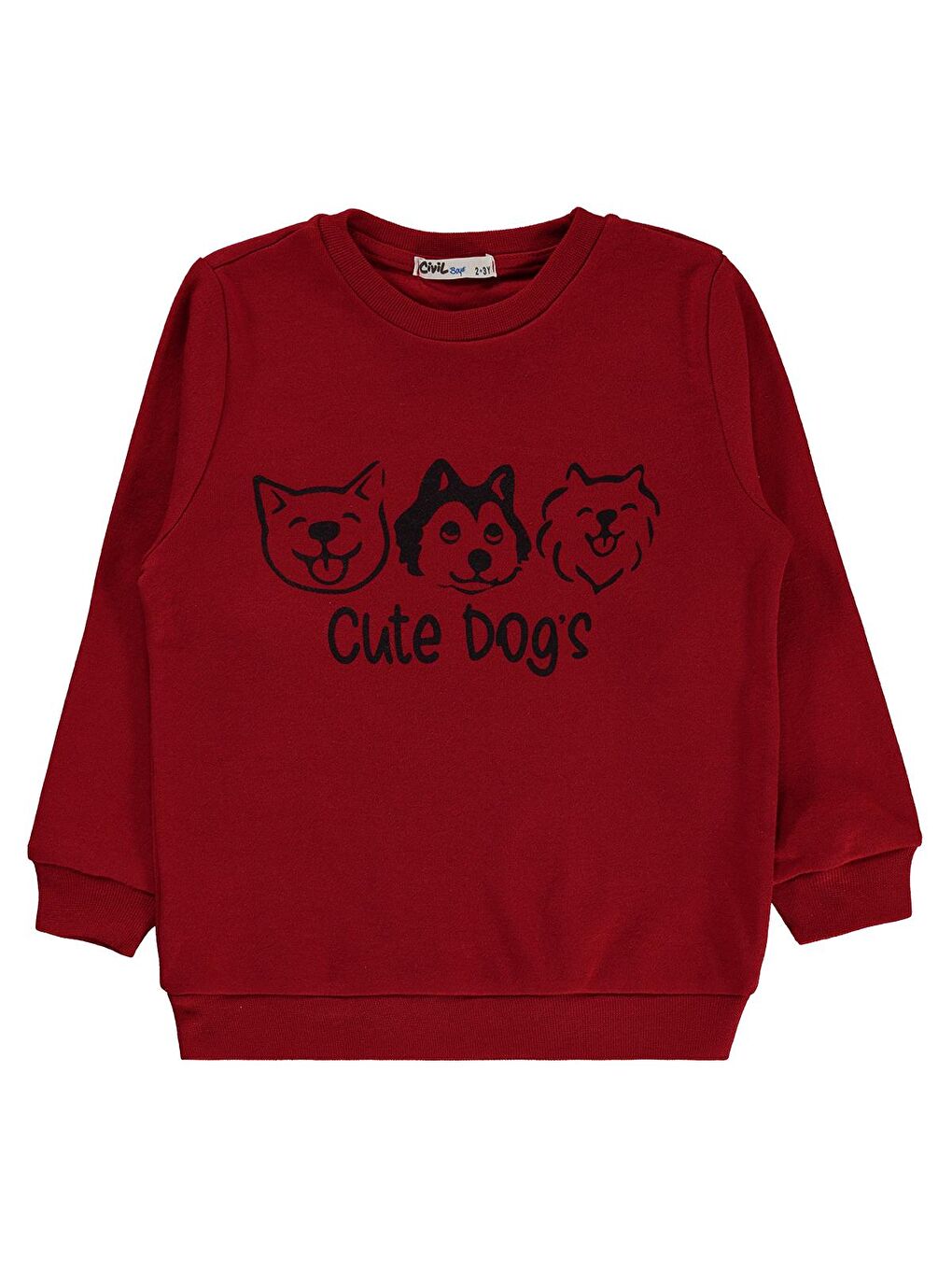 Boys Erkek Çocuk Sweatshirt 2-5 Yaş Bordo
