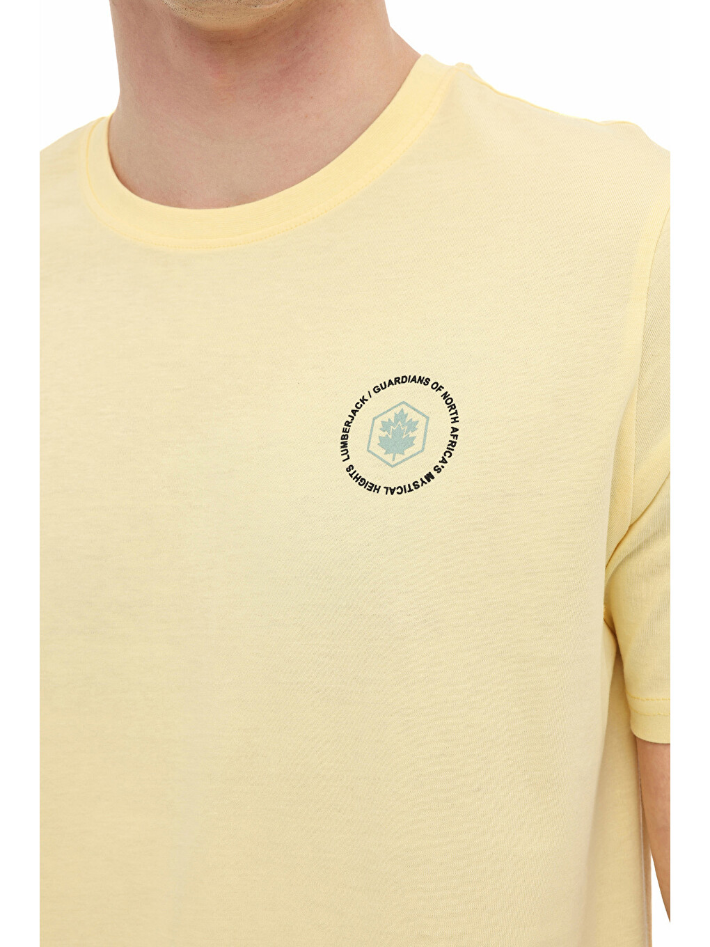ML THANOS 11KLR-01 6FX Sarı Erkek Kısa Kol T-Shirt-3