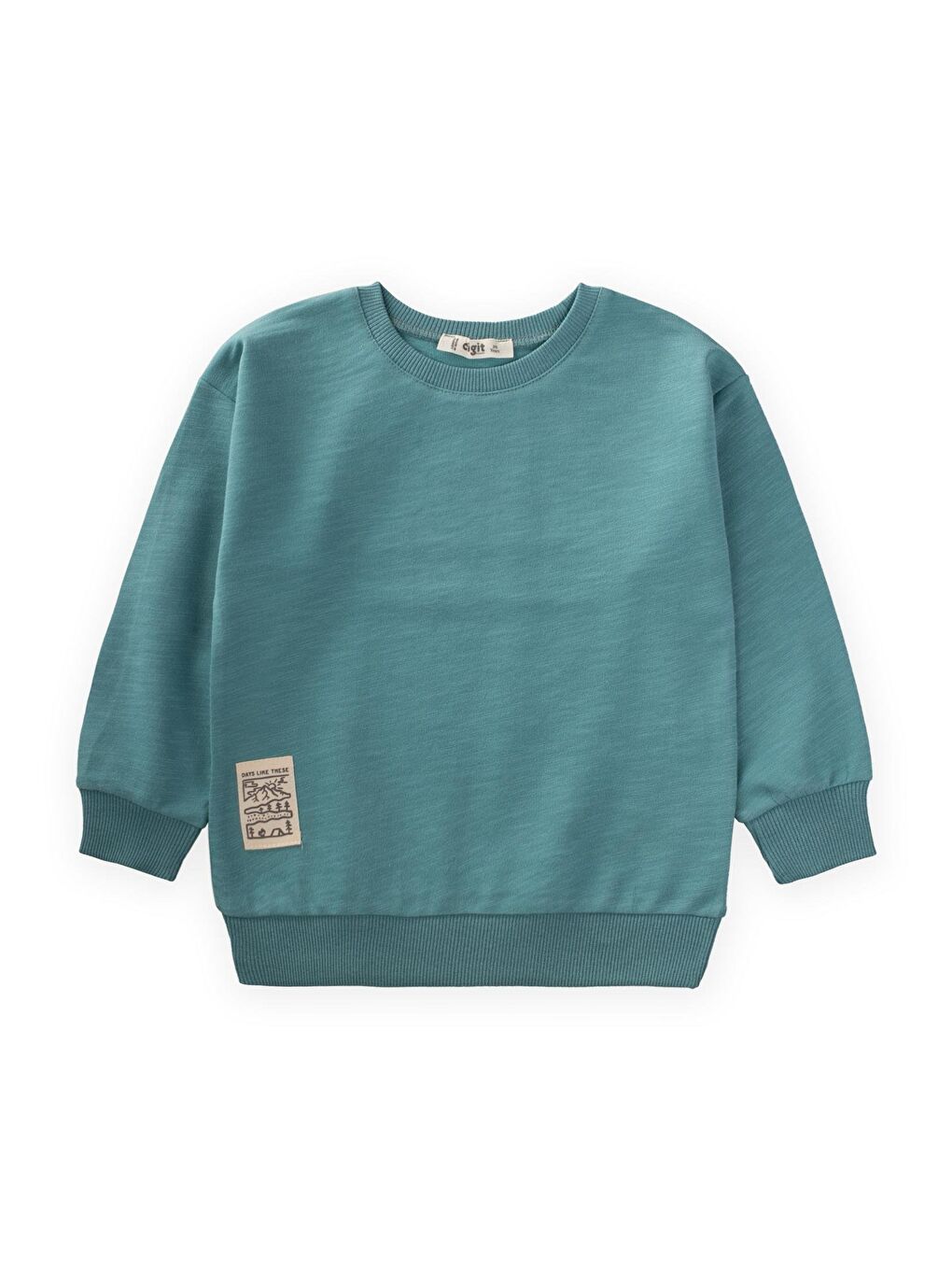 CİGİT Etiket Detaylı Sweatshirt 2-10 Yaş Turkuaz