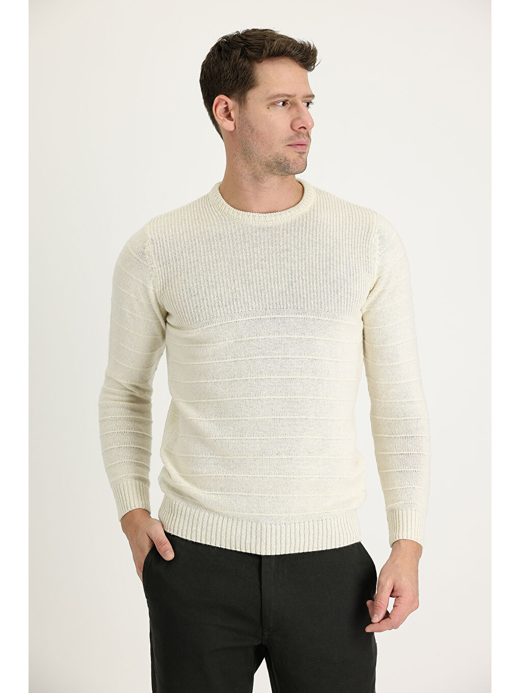 Ekru Bisiklet Yaka Slim Fit Dar Kesim Desenli Triko Büyük Beden Kazak-1